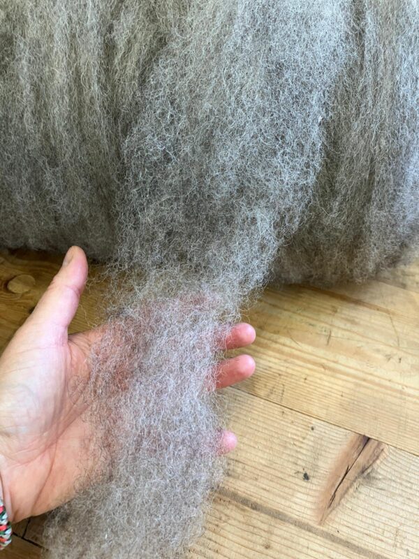 Kardenband Ralfi Melange Landmerino Waldschaf- Schaf. Weich.    I