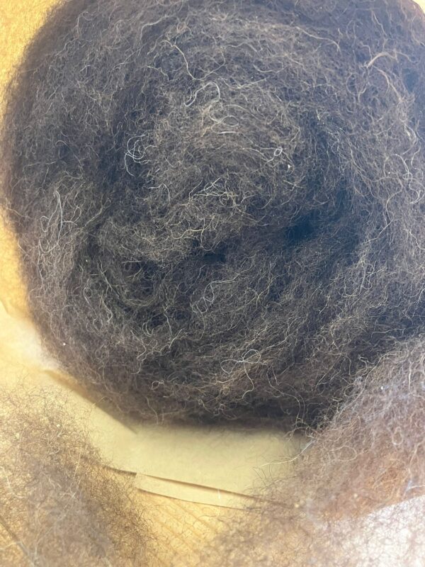 Kardenband Ralfi Waldschaf-Merino-Mischlingsschaf Schokobraun 3/IV