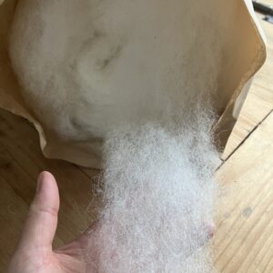 Kardenband Waldschf weiß (II/14)