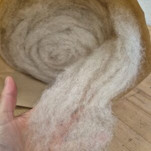 Kardenband Coburger Fuchs Nr. 12