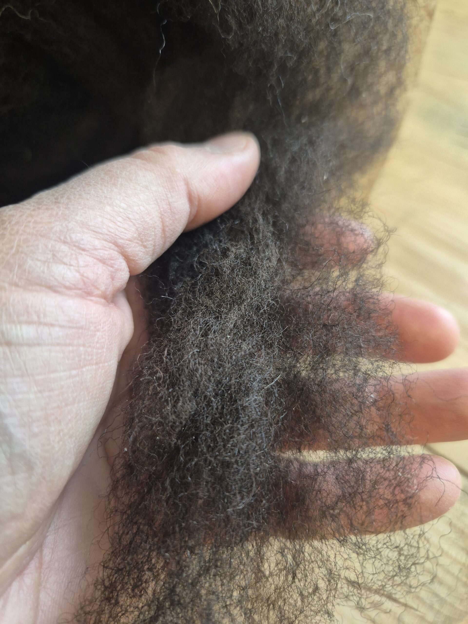 Kardenband Waldschaf Schwarz/Braun Nr. 35 – Bild 3